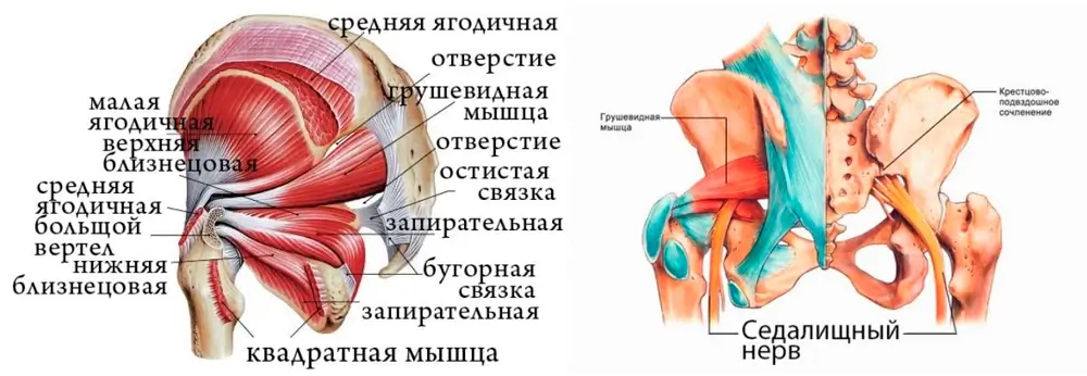 Остеопороз